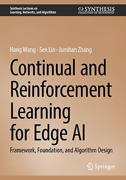 Continual and Reinforcement Learning for Edge AI