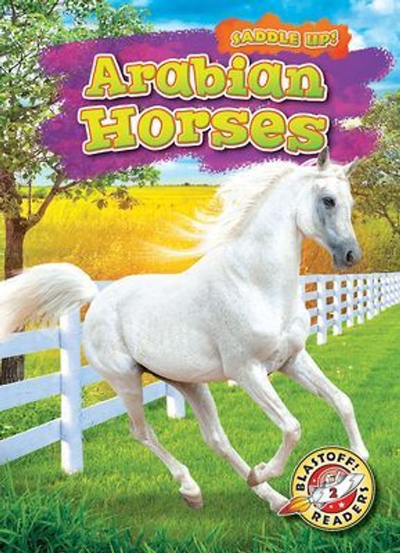 Arabian Horses