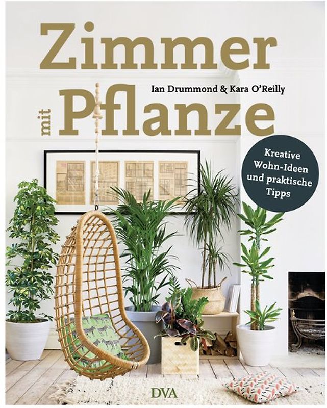 Zimmer mit Pflanze