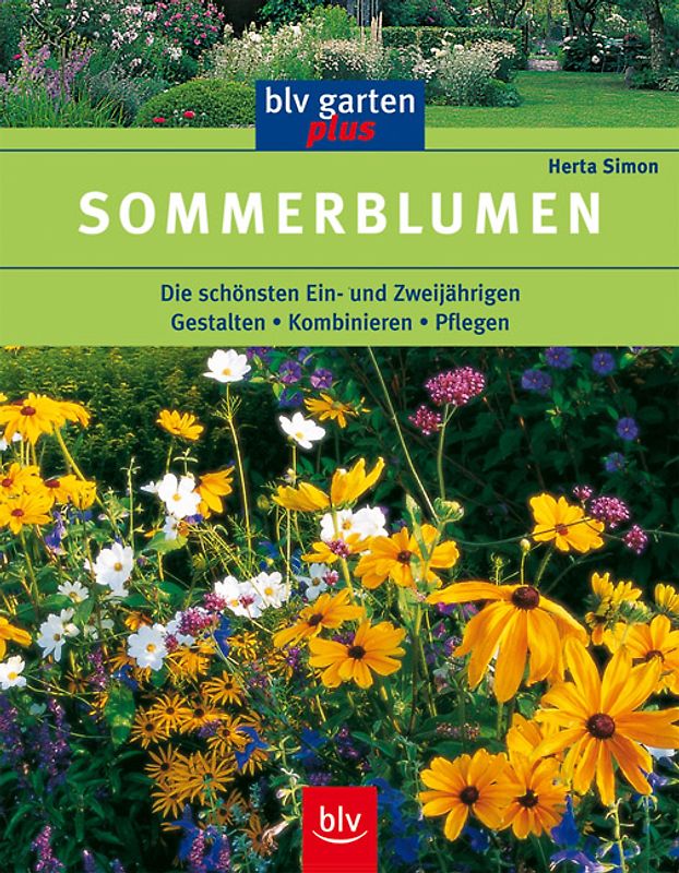 Sommerblumen