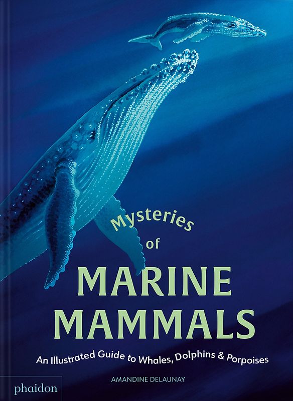 Mysteries of Marine Mammals: An Illustrated Guide to Whales, Dolphins, and Porpoises (2025)