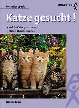 Katze gesucht!. Welche Katze passt zu mir? Kleine Charakterkunde