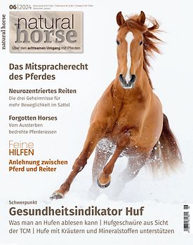 Natural Horse 54
