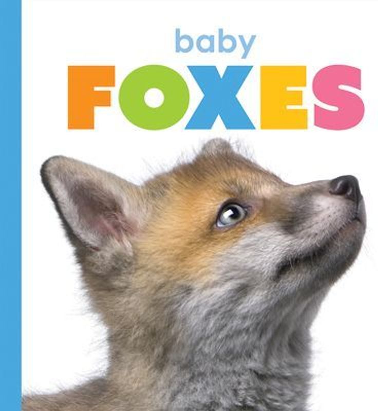 Baby Foxes