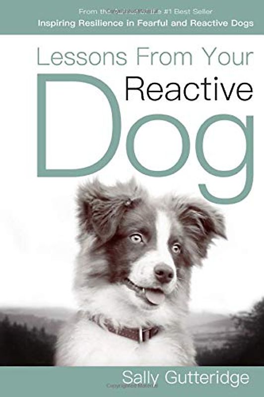 Lessons From Your Reactive Dog