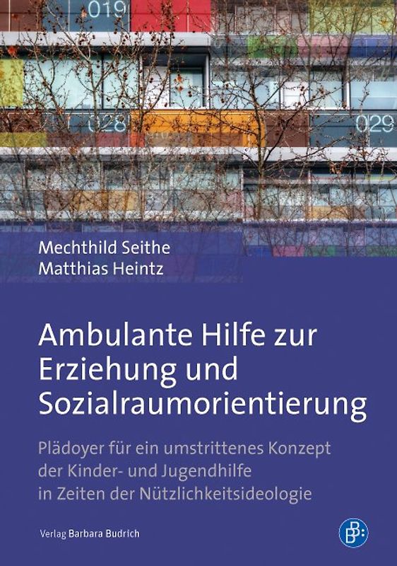 Ambulante Hilfe zur Erziehung und Sozialraumorientierung