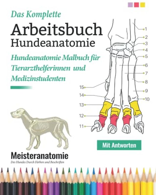 Das Komplette Arbeitsbuch Hundeanatomie: Hundeanatomie Malbuch für Tierarzthelferinnen und Medizinstudenten - Meisteranatomie Des Hundes Durch Färben ... | Perfekte Geschenke für Hundeliebhaber