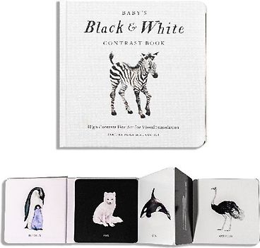 Baby's Black and White Contrast Book