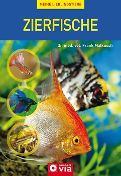 Zierfisch