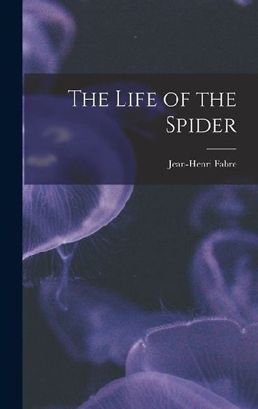 The Life of the Spider
