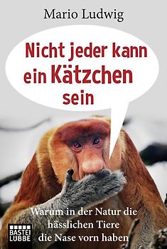 Nicht jeder kann ein Kätzchen sein