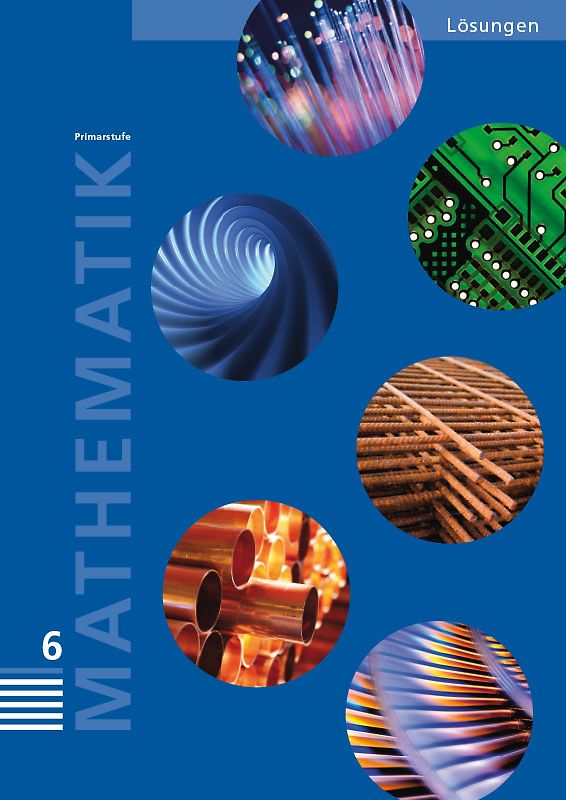 Mathematik 6 Primarstufe / Handbuch