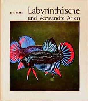 Labyrinthfische und verwandte Arten