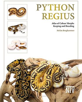 Python regius