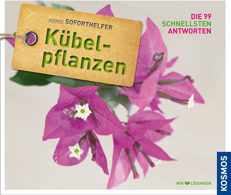 Soforthelfer Kübelpflanzen