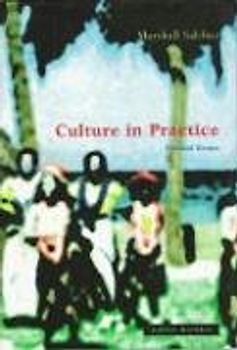 Culture in Practice: Selected Essays (Mit Press)