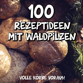 100 Rezeptideen mit Waldpilzen: Einfache Pilzrezepte mit Pilzen aus dem Wald