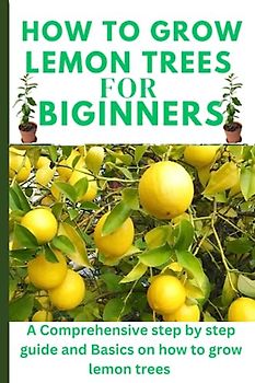 How to grow lemon trees for beginners: A Comprehensive step by step guide and Basics on how to grow lemon trees