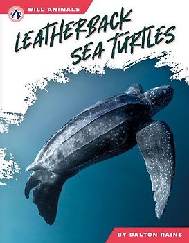 Leatherback Sea Turtles