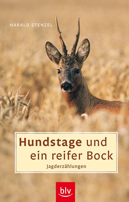 Hundstage und ein reifer Bock