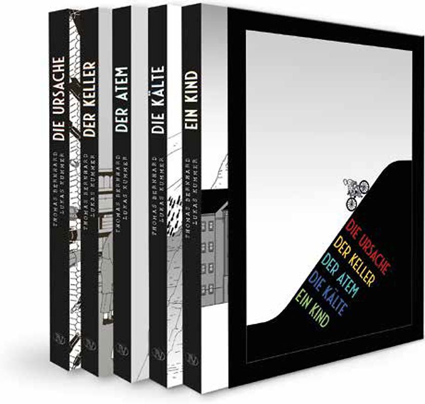 Die Autobiographie als Graphic Novel