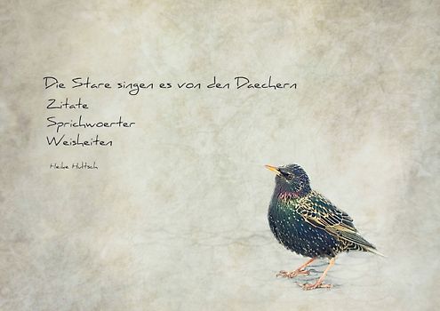 Die Stare singen es von den Dächern (Posterbuch DIN A4 quer)