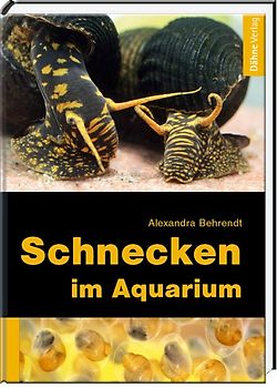 Schnecken im Aquarium