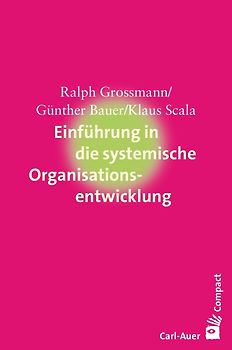 Einführung in die systemische Organisationsentwicklung