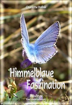 Himmelblaue Faszination