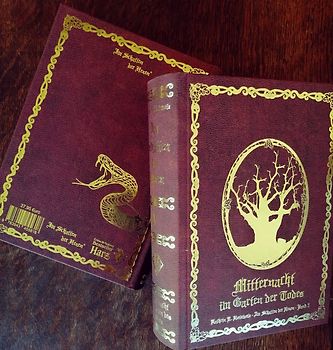 Im Schatten der Hexen V