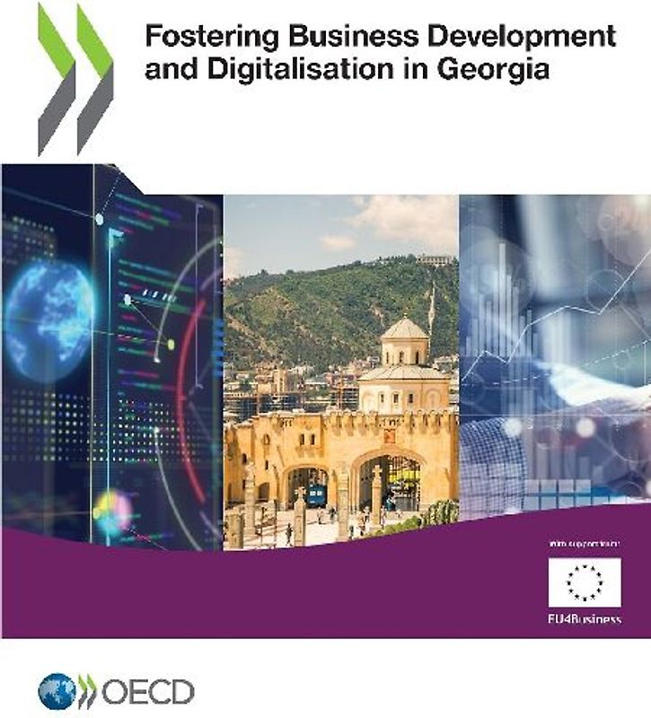 Fostering Business Development and Digitalisation in Georgia