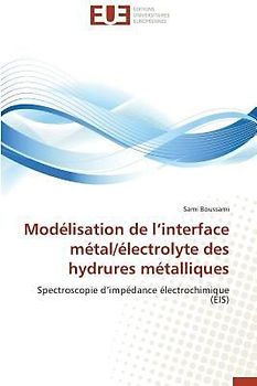 Modélisation de l'interface métal/électrolyte des hydrures métalliques