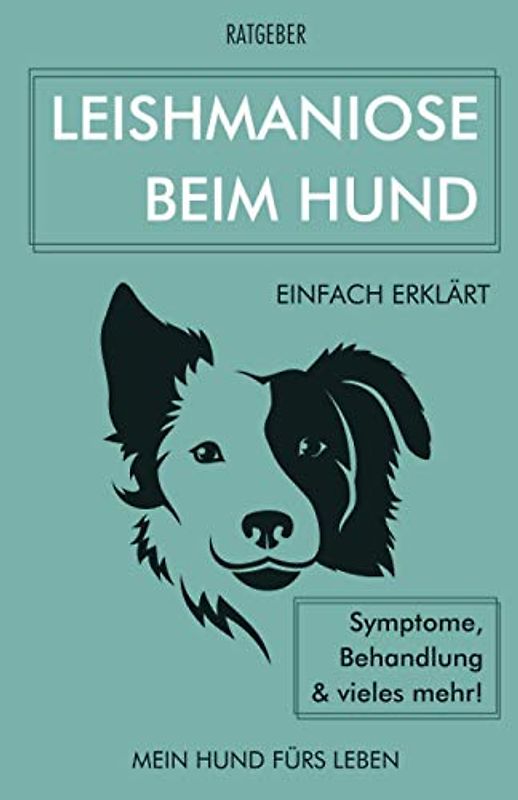 Leishmaniose bei Hunden: Leishmaniose beim Hund einfach erklärt - Symptome, Behandlung und vieles mehr!