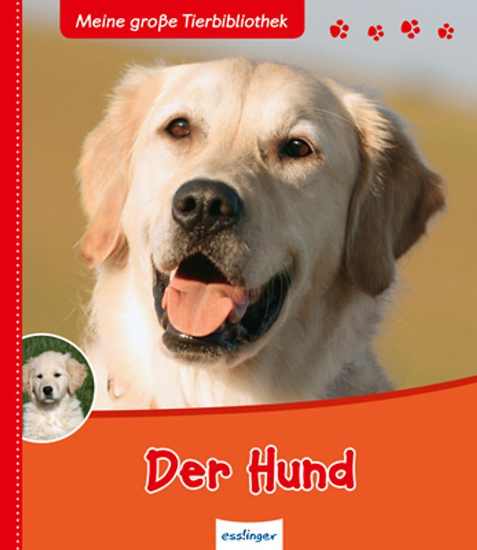 Meine große Tierbibliothek: Der Hund