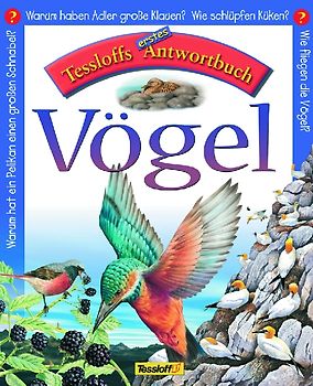 Vögel