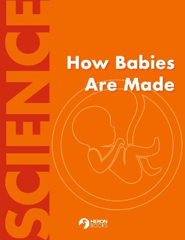 How Babies Are Made