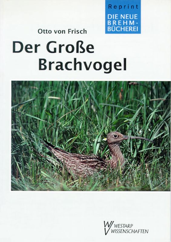 Der Grosse Brachvogel