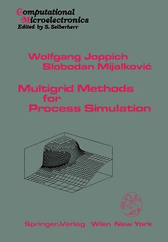 Multigrid Methods for Process Simulation