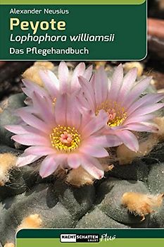 Peyote - Lophophora williamsii