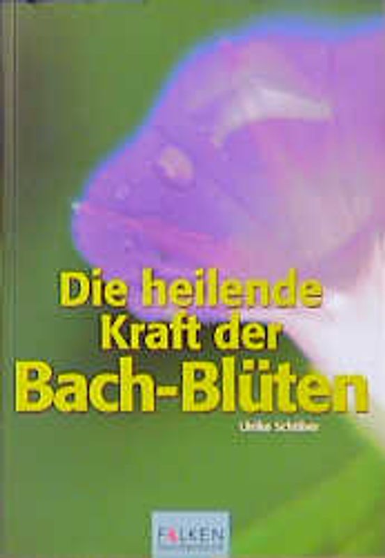 Die heilende Kraft der Bachblüten