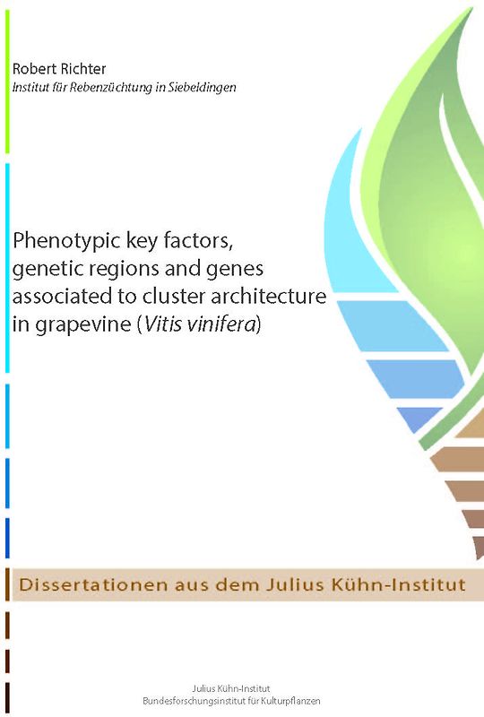 Phenotypic key factors, genetic regions and genes associated to cluster architecture in grapevine (Vitis vinifera)
