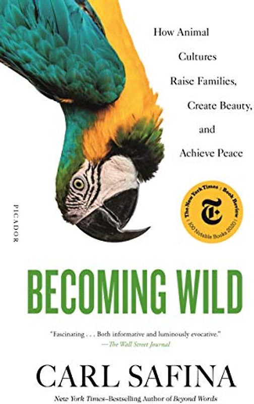 Becoming Wild: How Animal Cultures Raise Families, Create Beauty, and Achieve Peace