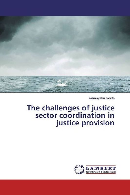 The challenges of justice sector coordination in justice provision