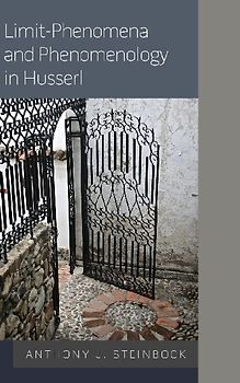 Limit-Phenomena and Phenomenology in Husserl