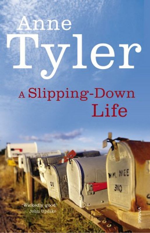Slipping-Down Life (Arena Books) - Anne Tyler