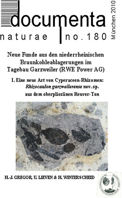 Neue Funde aus den niederrheinischen Braunkohleablagerungen im Tagebau Garzweiler (RWE Power AG)