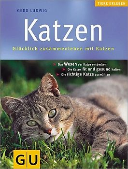 Katzen