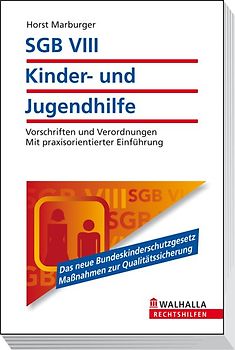 SGB VIII - Kinder- und Jugendhilfe