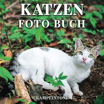 Katzen Foto Buch: 100 süße Bilder von entzückenden Katzen, Katzen und Kätzchen - Perfektes Geschenk- oder Kaffeetischbuch für Katzenliebhaber