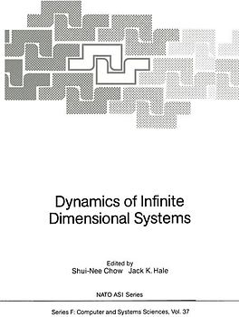Dynamics of Infinite Dimensional Systems